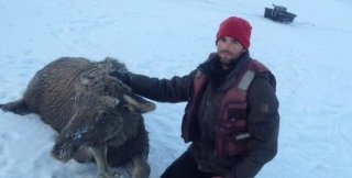 Барнаулец Иван Драчев спас тонущего лося