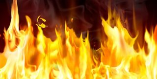 «Бензиновые деревья»