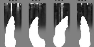 Нейрофизиологи объединили мозг 4 взрослых крыс...