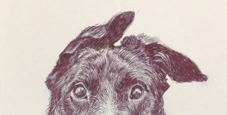 Выученная беспомощность