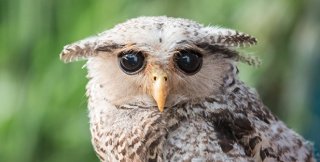 Сопротивляться аду надо не по его сценариям, а, наоборот, отказом от участия в его спектаклях