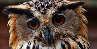 О чём-то, а не о ком-то...