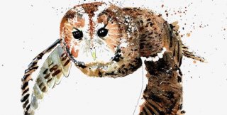 Прикосновение равнодушия - оскорбительно