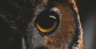 Смена точки смотрения для зрелой личности не причина для смены мировоззрения