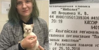 340 тысяч рублей заплатила студентка, чтобы пристроить бездомного котёнка