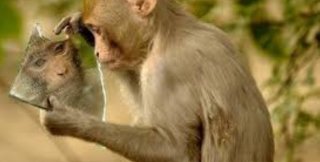 Одни люди стремятся к статусности, другие, наоборот, бегут от неё