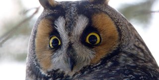 Наше ленивое и надменное добро - действительно ли добро?