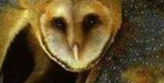 Отпадение происходит посредством приписывания себе не своего