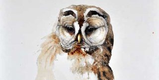 Не ума людям не хватает для того, чтобы быть по-настоящему умными, а чистоты