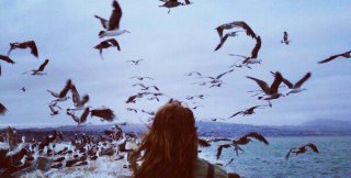 Родина поэта - стихотворение