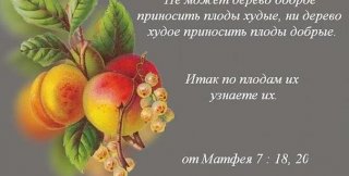 «По плодам узнаете» для современного человека недоступно: он не понимает, что видит