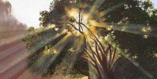 Худ. Наталья Шайкина