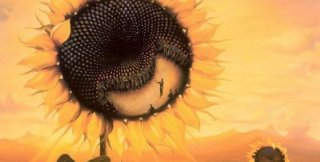 Худ. Владимир Куш