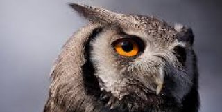 Глобалисты знают, что делать с христианством