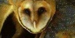 Это уже Христос и Антихрист - в людях