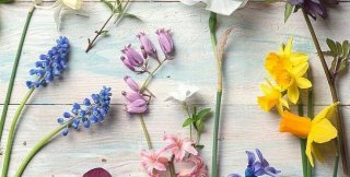 Блюсти надо не других, а себя