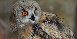 Люди превращаются в продукт переварки навязанных им социальных ролей