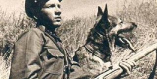 Последний бой «хвостатой роты»