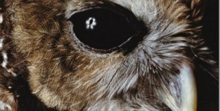 Зло заразительно - как вирус, им легко заражаются даже хорошие душевные люди