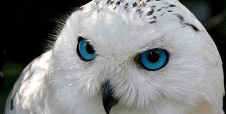 «Вера без дел мертва» - это всё равно, что «сознание без бытия мертво»