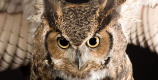 Наилучший способ отстаивать своё прошлое - выбирать правильное будущее