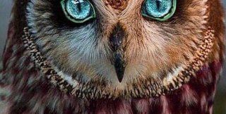 Добрый ли вы человек?