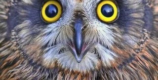 Что такое здоровье лучше всего понимают не здоровые, а больные люди