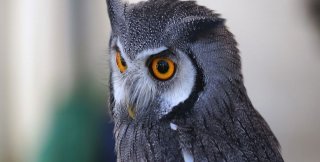 Своя правда, которая не учитывает правду другого - это ложь, а не правда