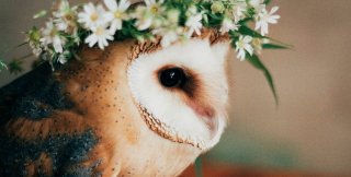 Чтобы научиться отличать правду от лжи, надо перестать лгать 