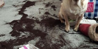 Если он это сделал, значит страдал