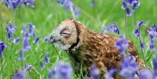 Зла бытийно не существует потому, что у него нет своего жизненного положительного содержания