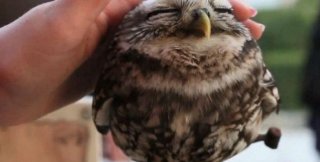 Проблема одна у христиан во все времена - неподлинность, т.е. отсутствие единства со Христом