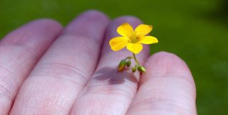 Можно ли понять другого без Бога?