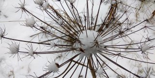 Люди, как правило, переоценивают себя, недооценивая значение социальных обстоятельств своей жизни