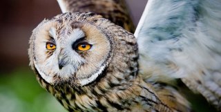 Более заметен разовый красивый поступок - он выделяется 