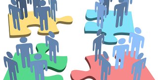 Общество разделилось на враждующие друг с другом стаи