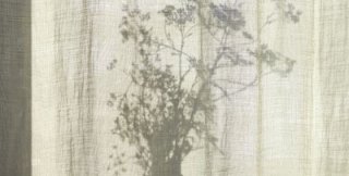 Гений от негения отличается тем, что...