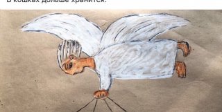 Ангелы посылают радость в собаках и кошках...