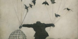 Фото: Robert and Shana Parkeharrison