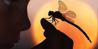 Глупость - это слепота ко всему, что следует видеть, чтобы быть разумным