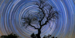 Надо влюбиться в истину больше, чем в себя - тогда она может ответить взаимностью