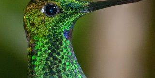 Пассивное состояние злых творит зло, а пассивное состояние добрых ничего не творит