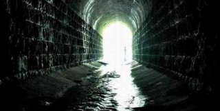 Равенство мыслящих 