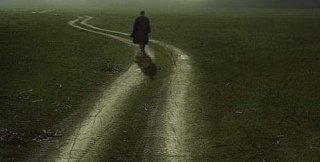 Живой текст ведёт, а не просто информирует