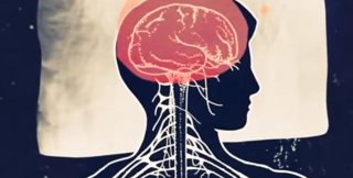 По-настоящему умный человек лишён самоуверенности, ибо она оглупляет