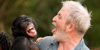 Какая философия и идеология? Люди - всего лишь разновидность приматов