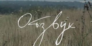 В пустых душах чужая боль даже эхом не отдаётся