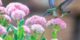 С помощью культуры можно и окультуривать человека, и раскультуривать