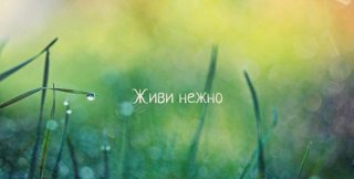 Настоящие слова скрываются от ненастоящих, неживых сердцем людей