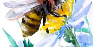 Пчела - это символ дремлющей Кундалини, готовой ударить
